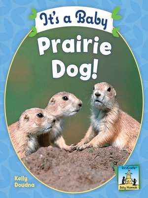 cover image of It's a Baby Prairie Dog